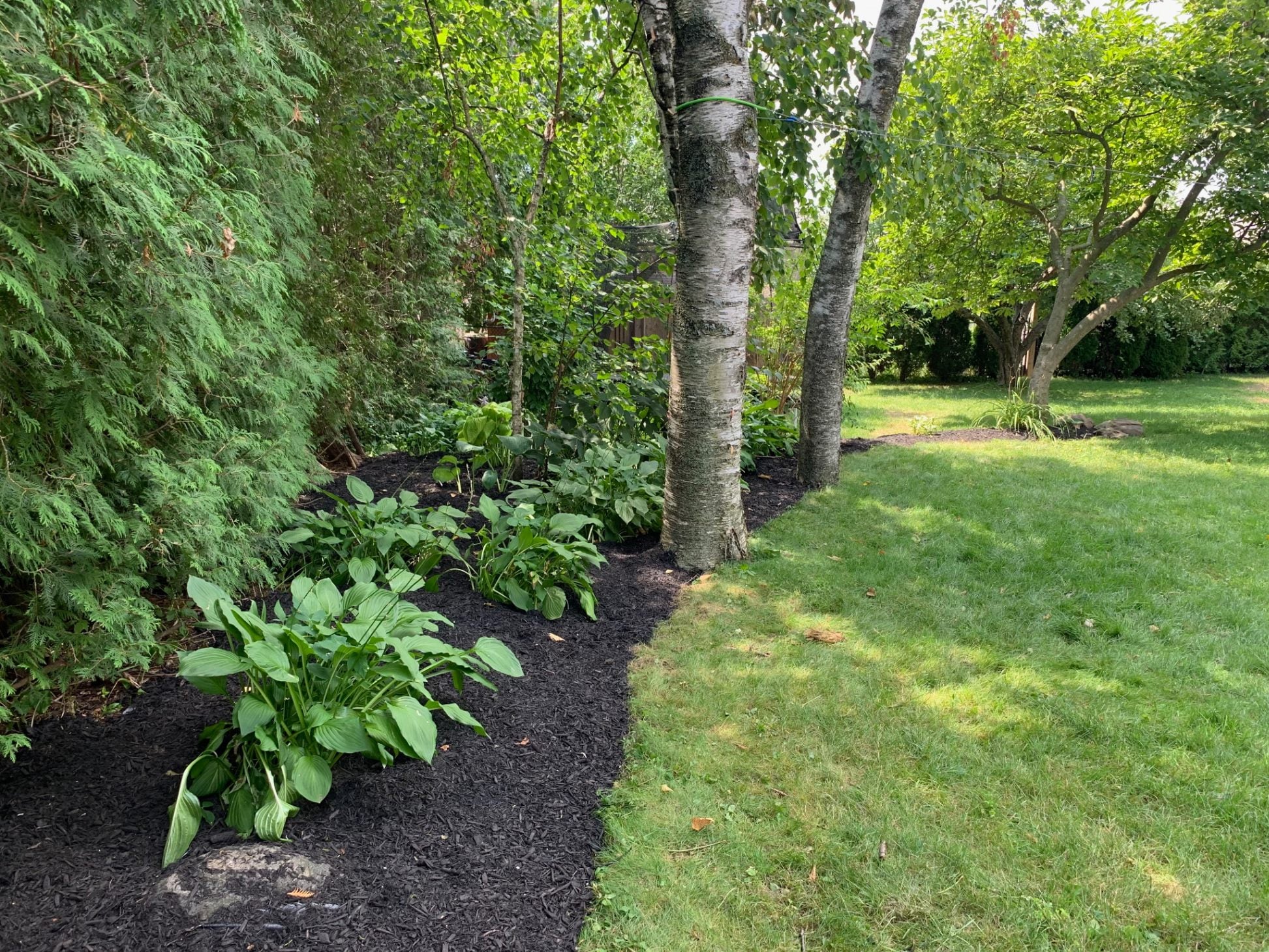 Garden bed with stone border