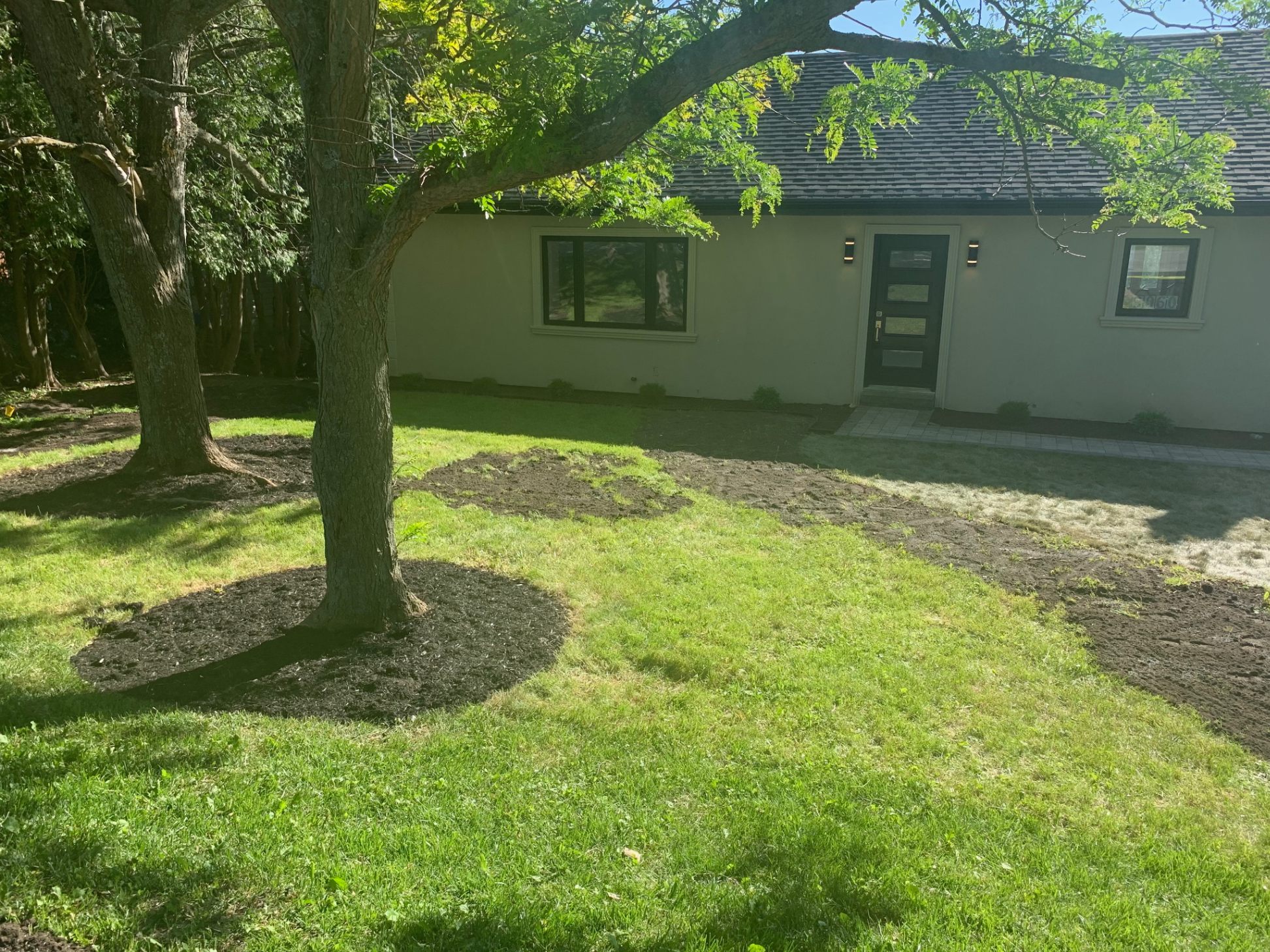 Freshly mowed backyard lawn