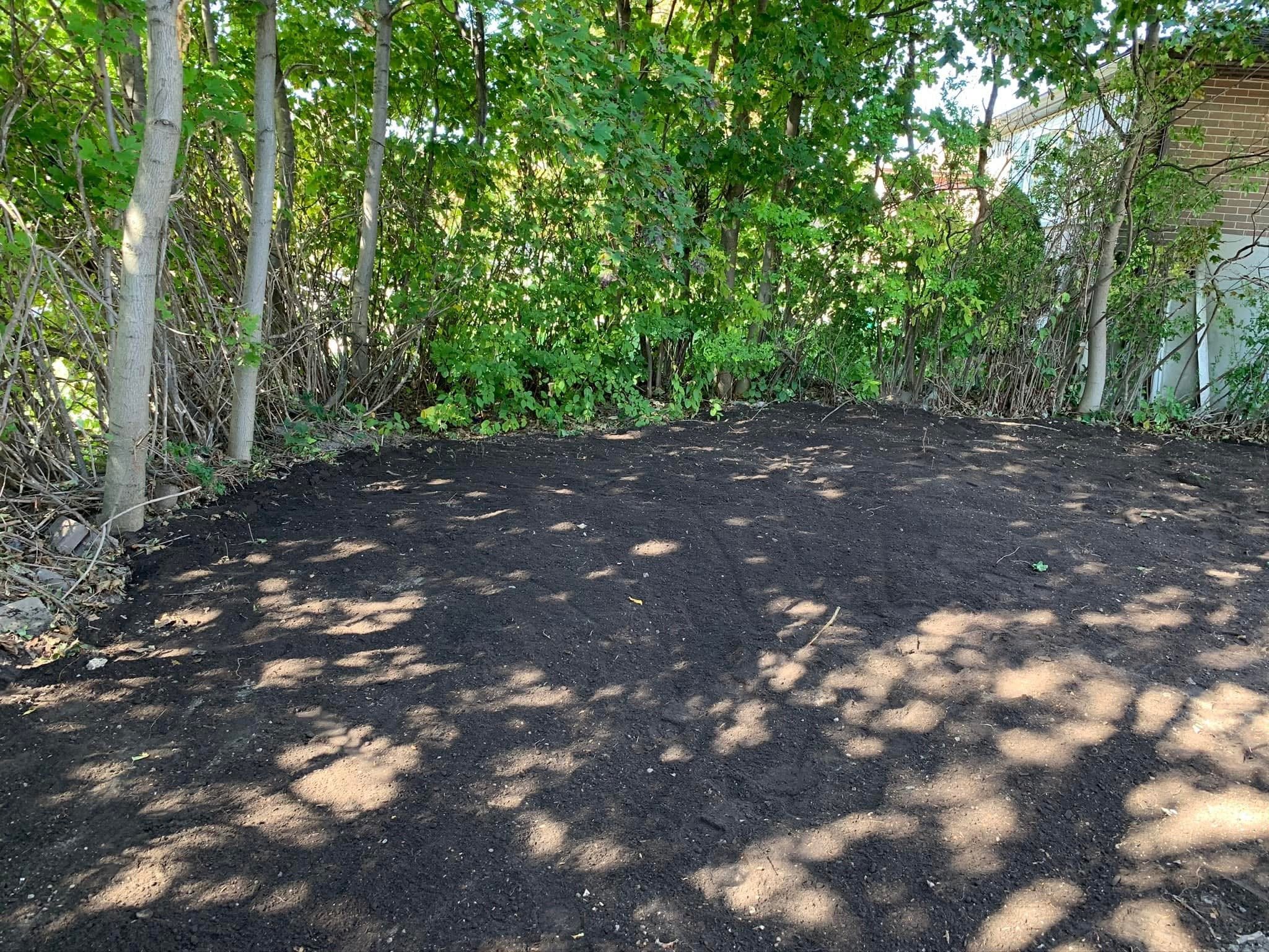 Sod installation